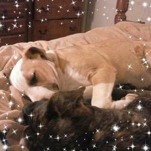 Meet your Posher, Anita